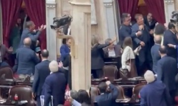 Escándalo en el Congreso: Zago y Almirón, a las piñas en Diputados