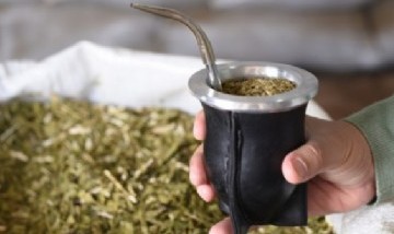 No hay yerba: el consumo de mate bajó casi 10% en lo que va del año