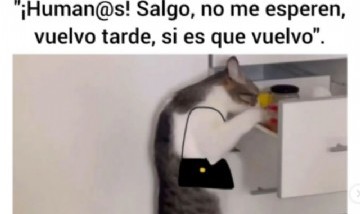 Humanos, salgo