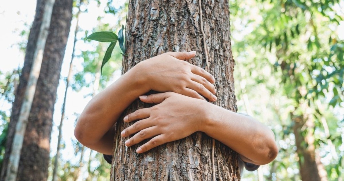 A Lo Maratea Pide Donaciones Para Plantar Un Millón De árboles 4494